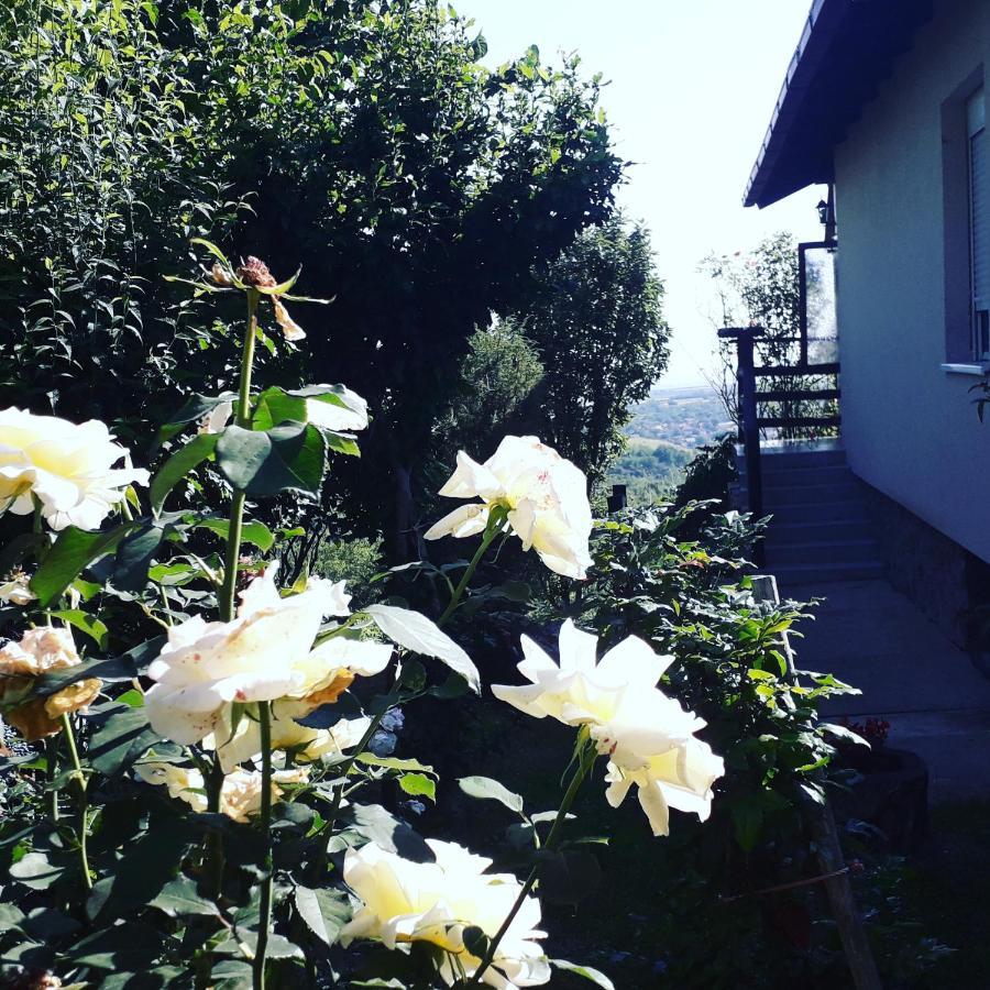 Apartment Noletov Vidikovac เวิร์ดนิค ภายนอก รูปภาพ