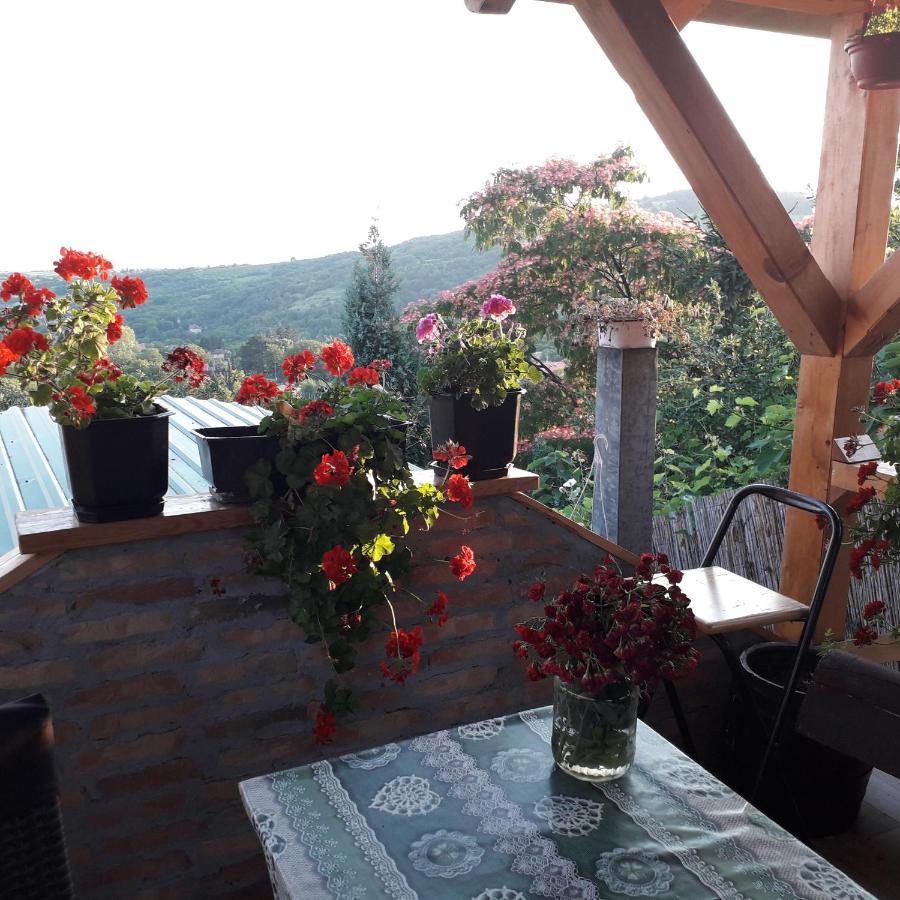 Apartment Noletov Vidikovac เวิร์ดนิค ภายนอก รูปภาพ