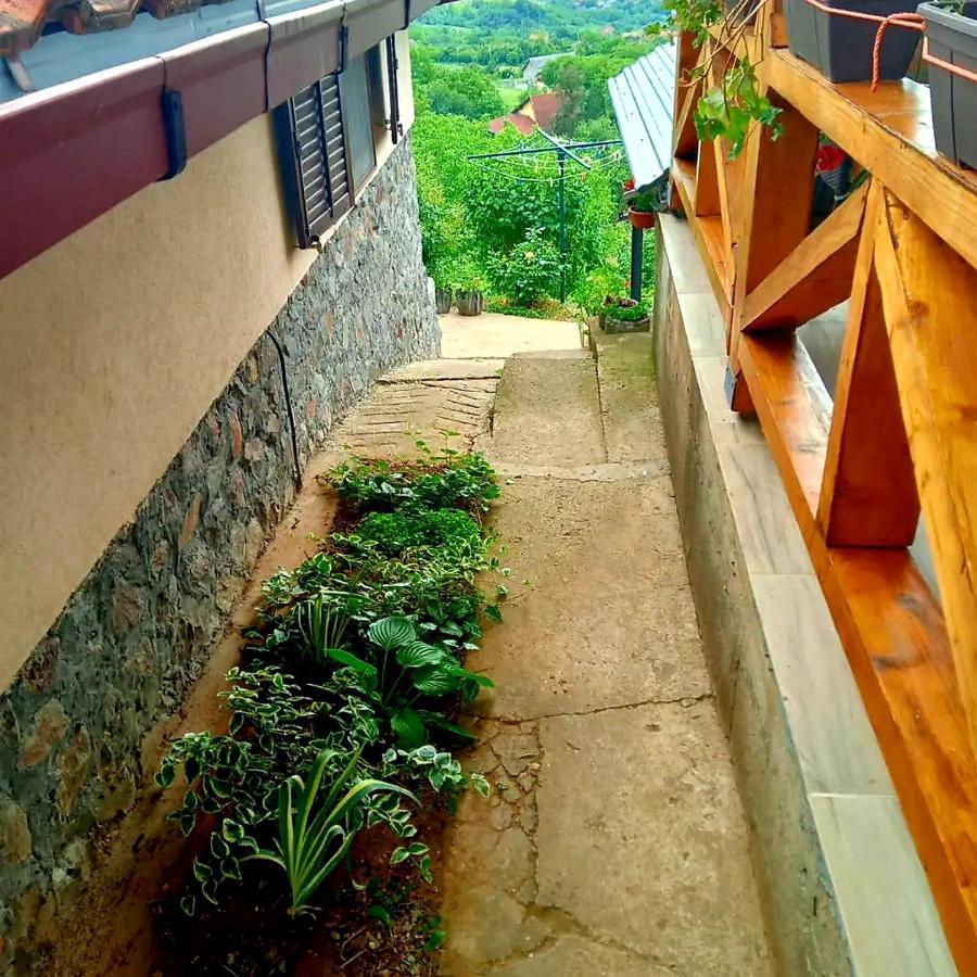 Apartment Noletov Vidikovac เวิร์ดนิค ภายนอก รูปภาพ