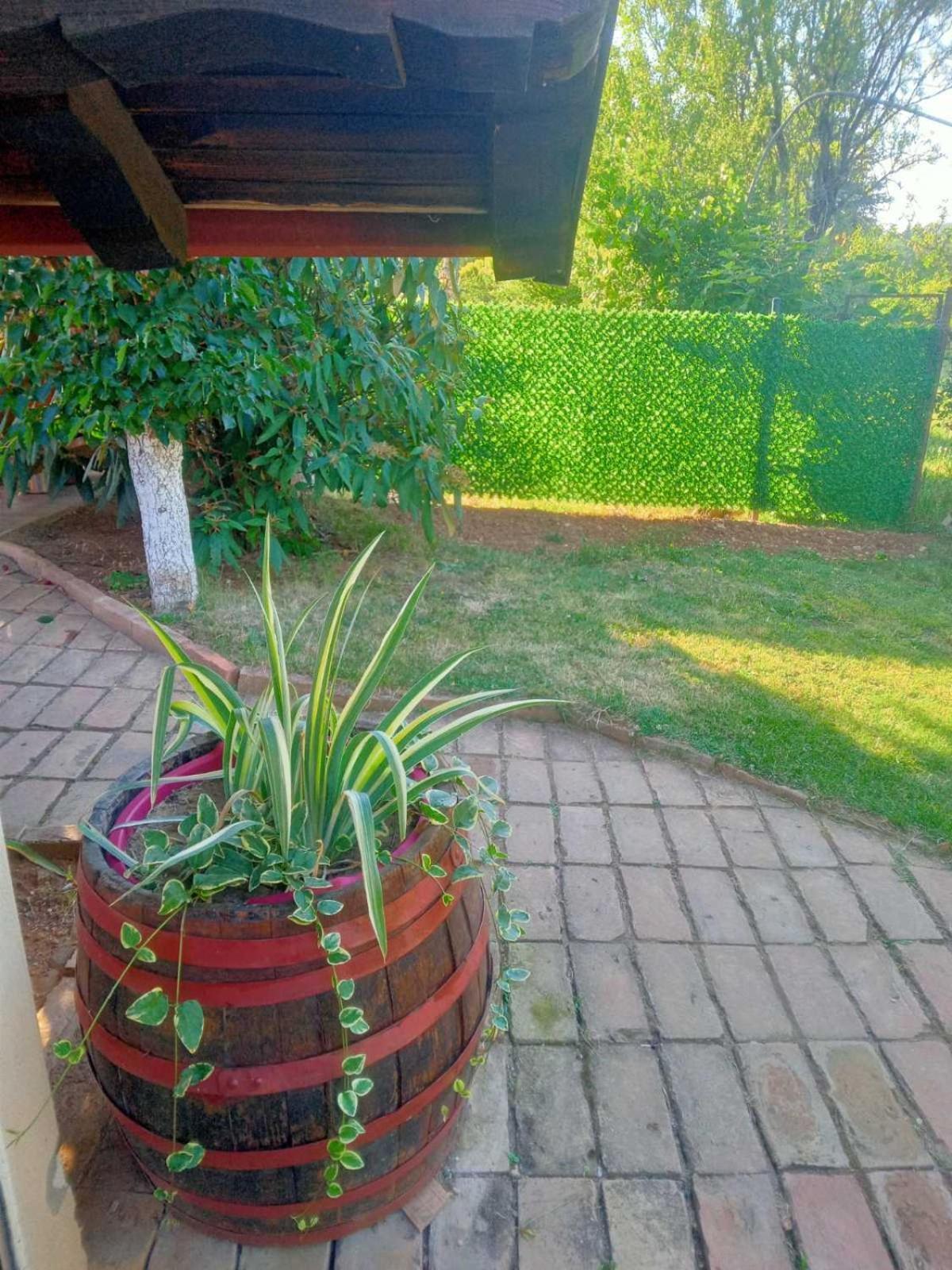 Apartment Noletov Vidikovac เวิร์ดนิค ภายนอก รูปภาพ