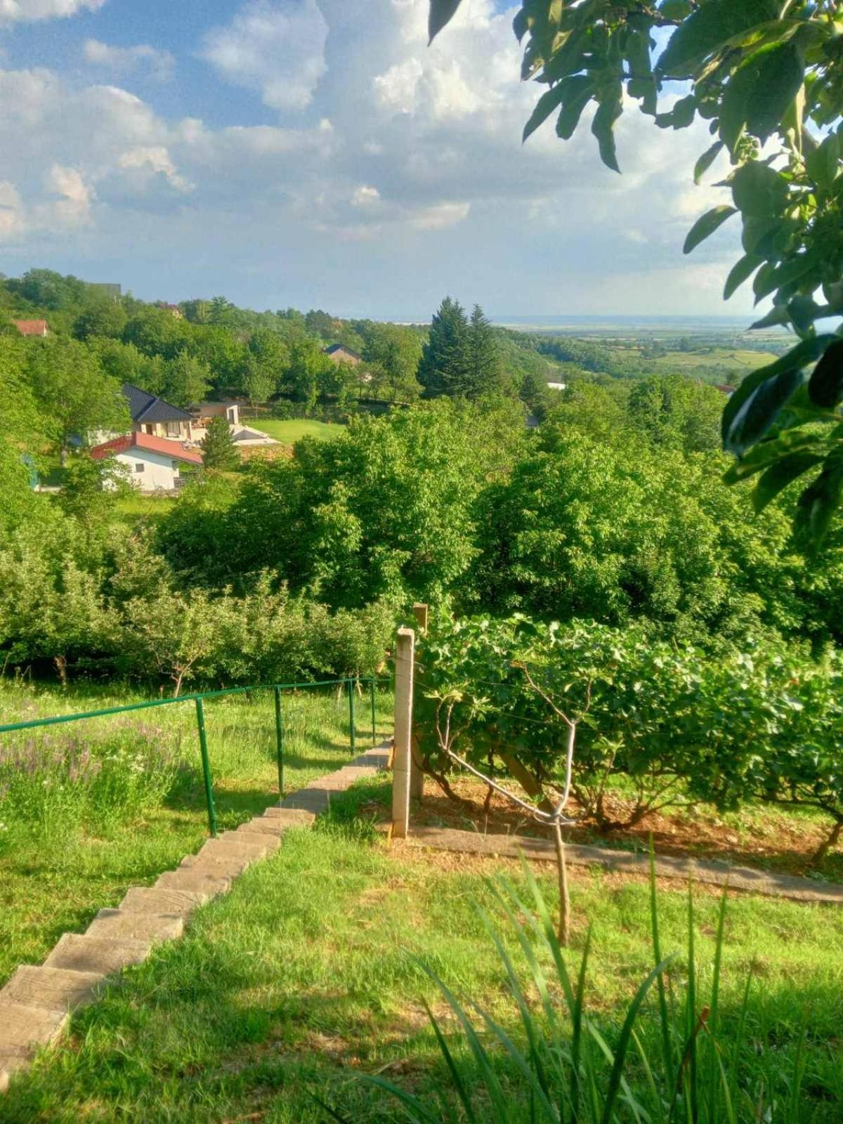 Apartment Noletov Vidikovac เวิร์ดนิค ภายนอก รูปภาพ