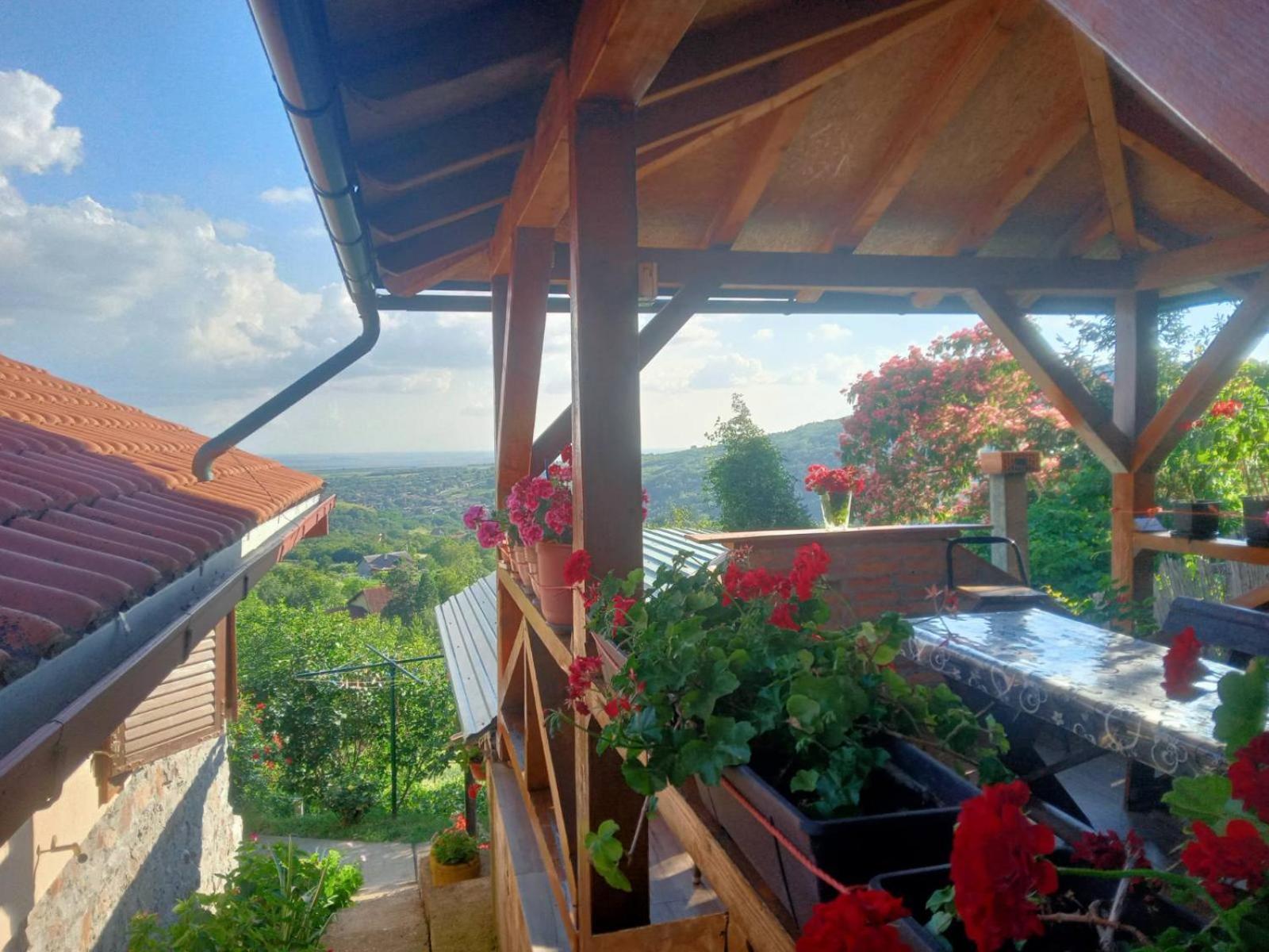 Apartment Noletov Vidikovac เวิร์ดนิค ภายนอก รูปภาพ