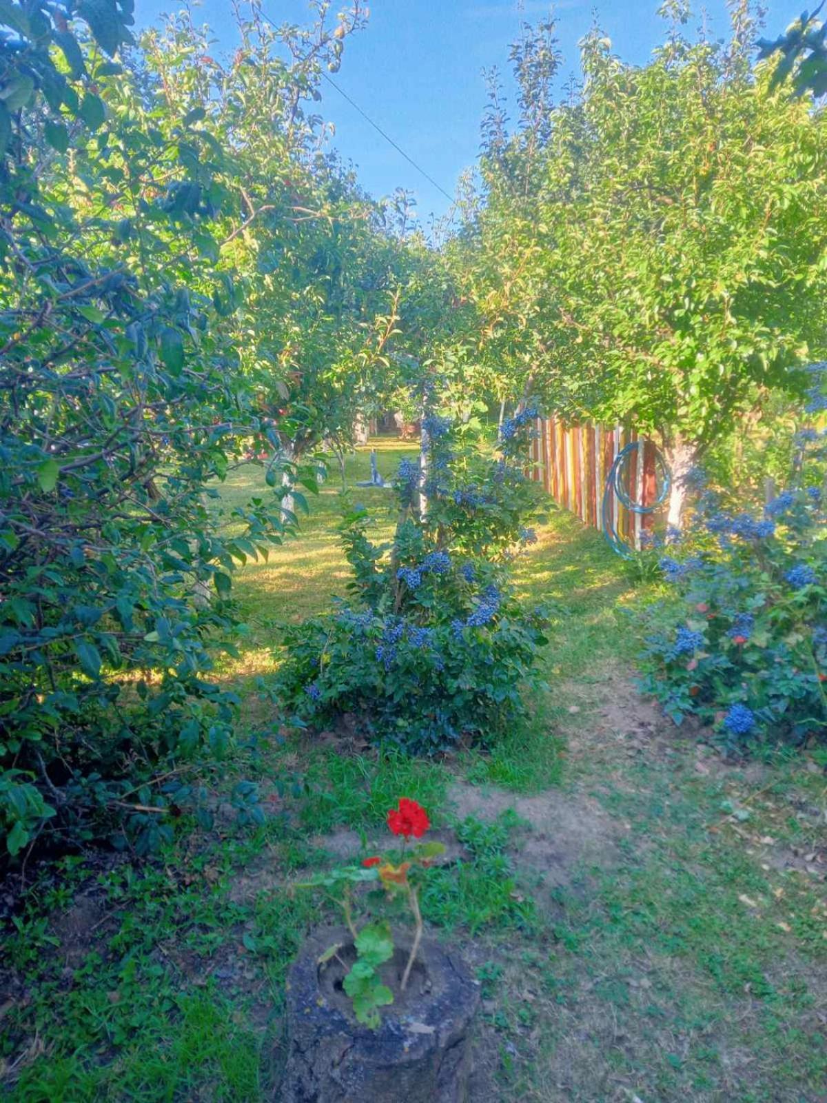 Apartment Noletov Vidikovac เวิร์ดนิค ภายนอก รูปภาพ