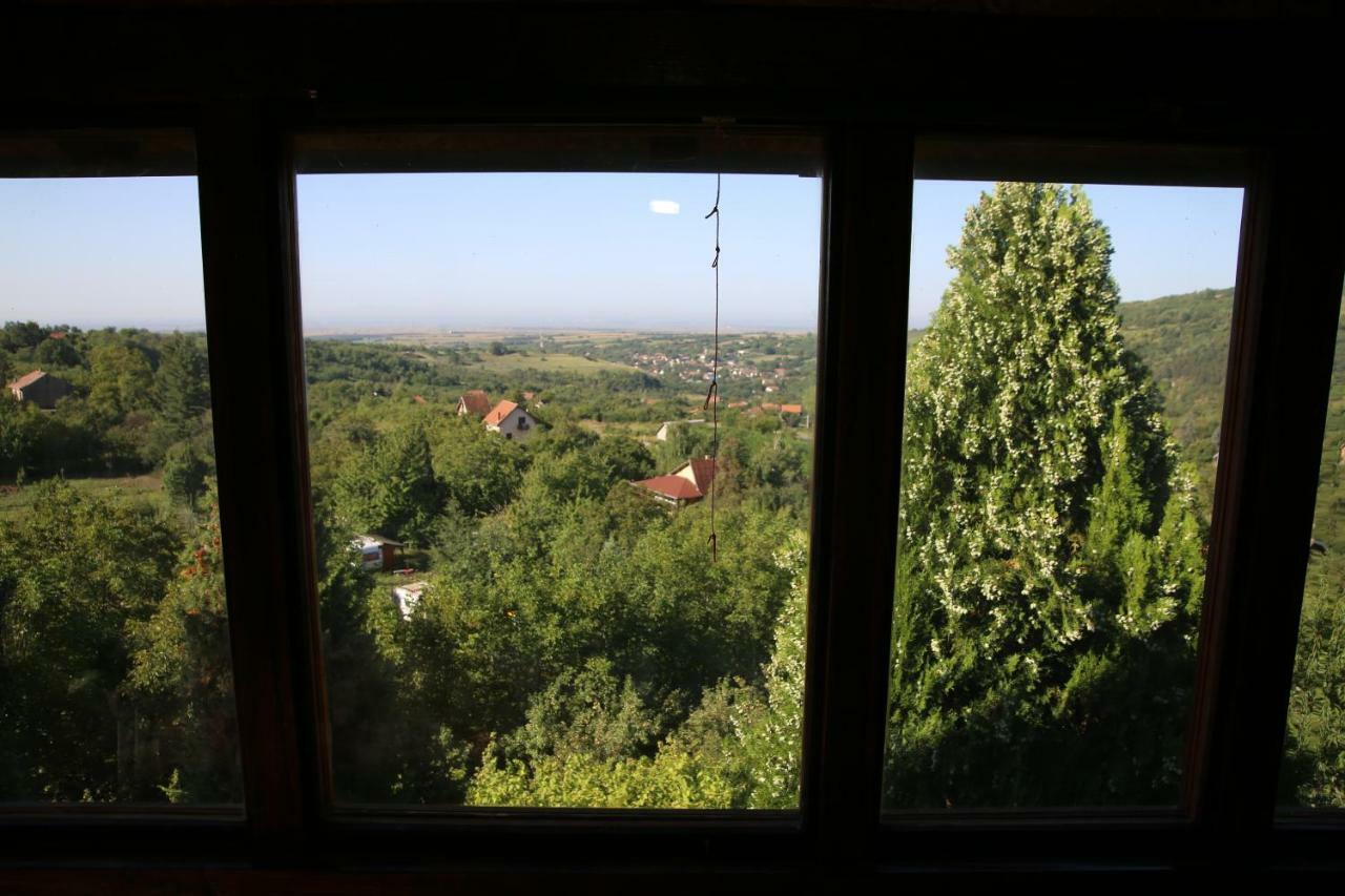 Apartment Noletov Vidikovac เวิร์ดนิค ภายนอก รูปภาพ