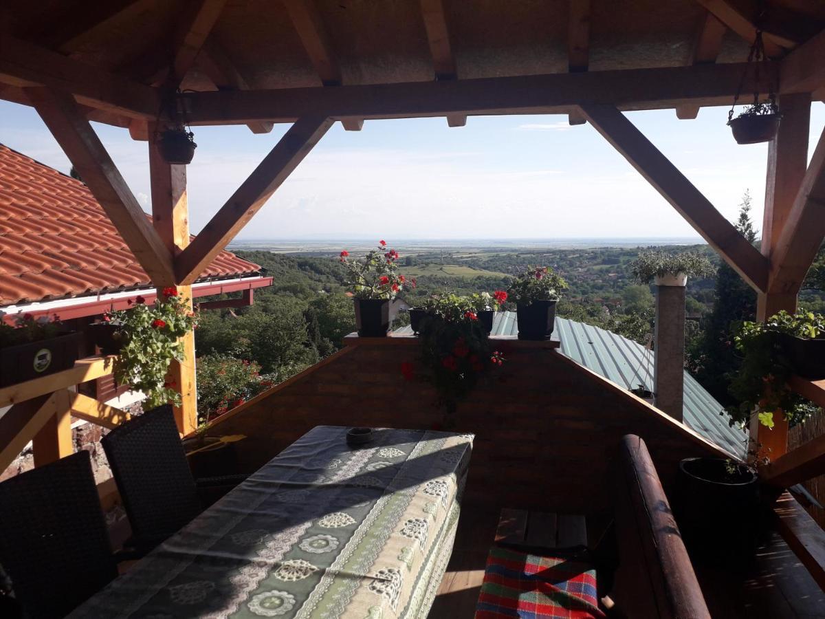 Apartment Noletov Vidikovac เวิร์ดนิค ภายนอก รูปภาพ